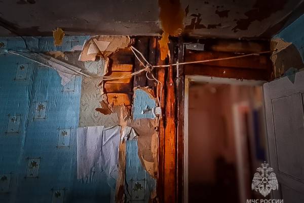 В деревне Подсельево Гагаринского района пожарные спасли частный дом