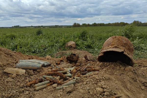 Поиск останков советских солдат в Беларуси