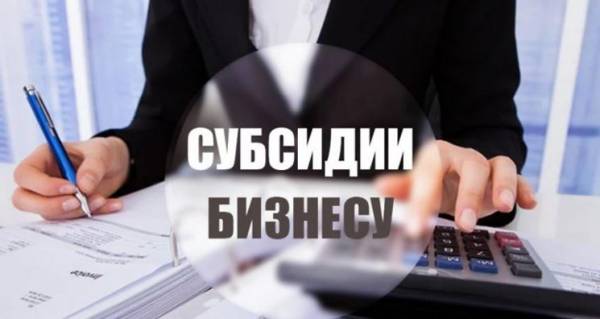 Субсидии для МСП на лизинг оборудования с 2025 года