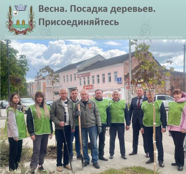 Высадка кленовой аллеи в Рославле