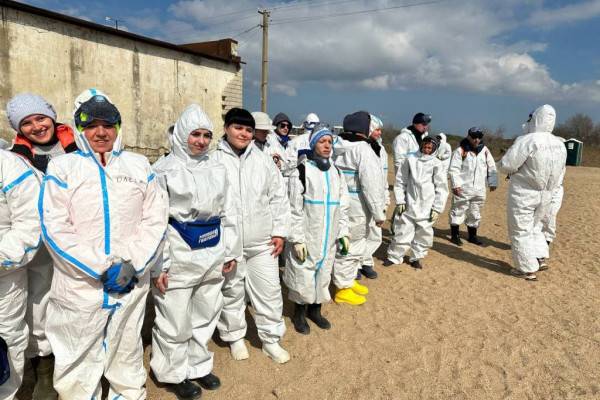 Волонтеры ликвидируют последствия экологической катастрофы на Черноморском побережье Волонтеры ликвидируют последствия экологической катастрофы на Черноморском побережье