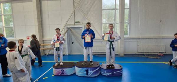 Межрегиональные соревнования по тхэквондо в память о Павле Судоплатове