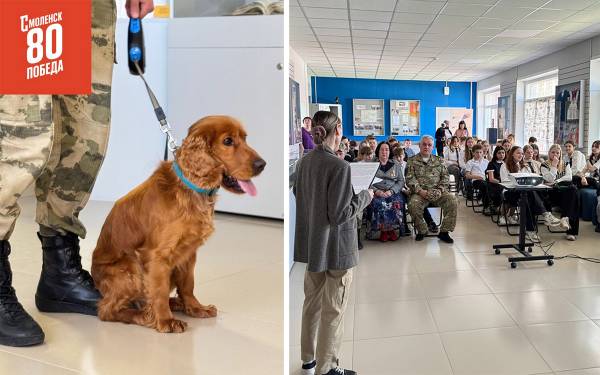 Собаки на службе Отечеству: героический путь и современные миссии