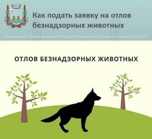 Получение формы заявки на отлов животных