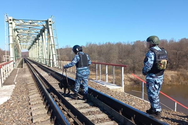 Учения в Смоленской области: борьба с диверсиями и терроризмом Учения в Смоленской области: борьба с диверсиями и терроризмом