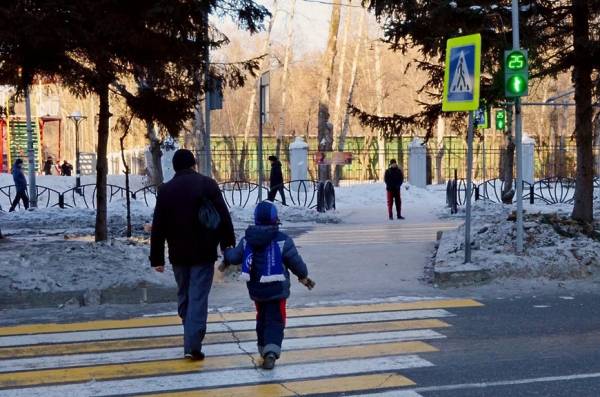 О необходимости пропускать пешеходов на пешеходных переходах О необходимости пропускать пешеходов на пешеходных переходах
