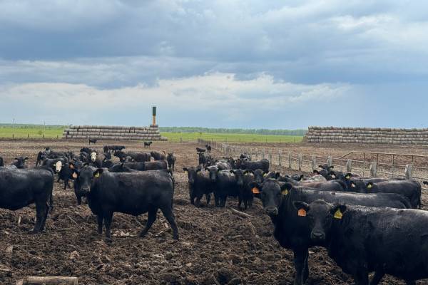 Визит министра сельского хозяйства в ведущее агропромышленное предприятие