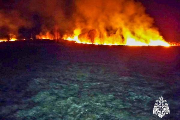 Пожары в Смоленской области: крупные возгорания в камышах Пожары в Смоленской области: крупные возгорания в камышах