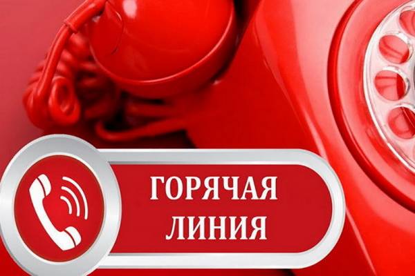 «Горячая линия» по вопросам соблюдения требований земельного законодательства