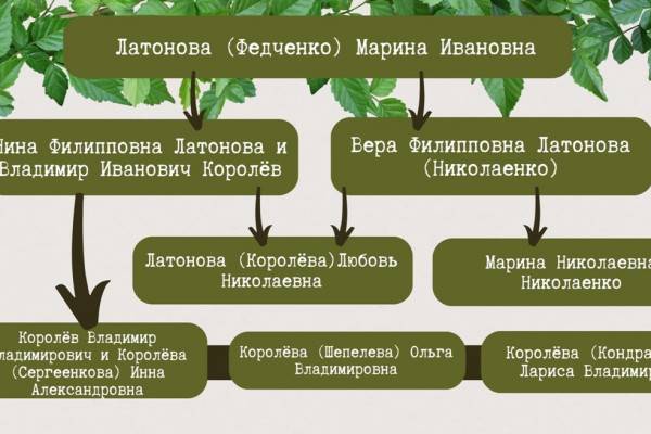 Шесть веков опыта в области педагогики Шесть веков опыта в области педагогики