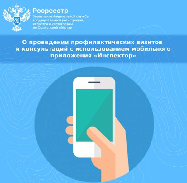 Инспектор: проверка и консультация онлайн