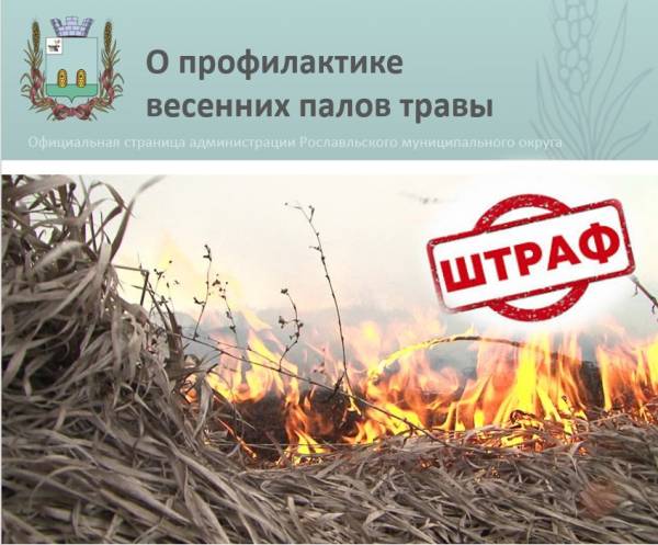 Весенний огонь: анализ ситуации с палами травы в регионе