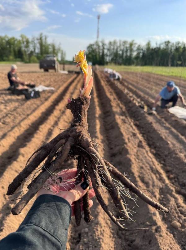 Социальный контракт как старт для бизнеса в Смоленской области Социальный контракт как старт для бизнеса в Смоленской области