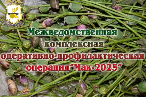 Кампания «Мак-2025»: борьба с наркотиками в Смоленской области