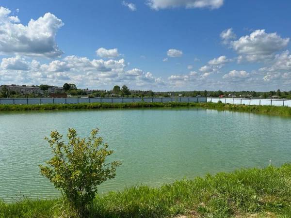 Работа в питомнике  Работа в питомнике