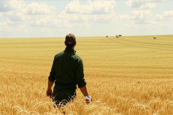 Новый закон об освоении земельных участков с 2025 года