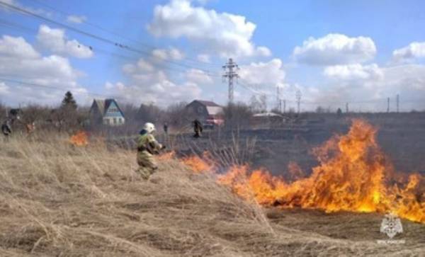 Весенний пал травы: мнимая польза и реальные угрозы