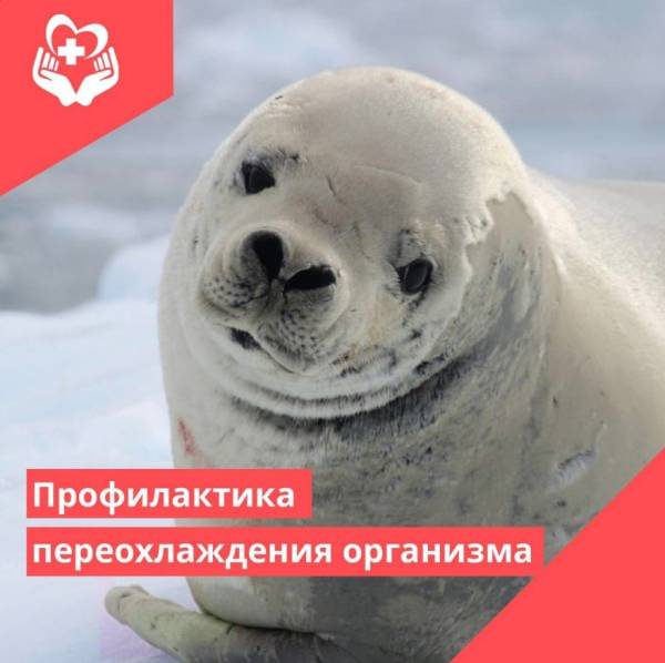 О профилактике переохлаждения