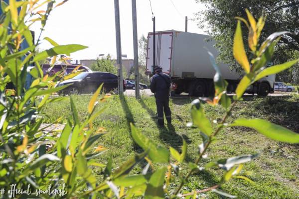 В администрации Смоленска рассказали, как работает «Зеленстрой»