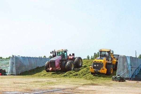 Аграрный рост в Смоленской области