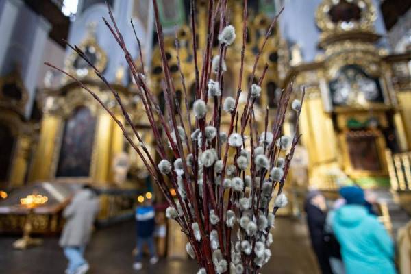 Поздравление губернатора Смоленской области с Вербным воскресеньем