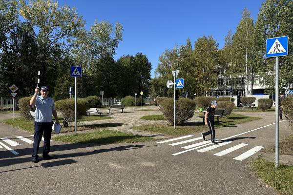 В Смоленске начинается операция «Пешеход»