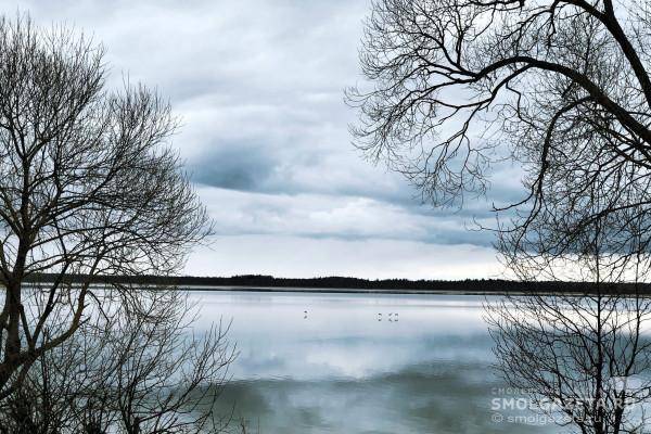 Погода в Смоленской области 5 апреля