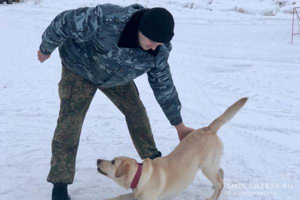 Нюх на опасность: на что способны смоленские четвероногие 