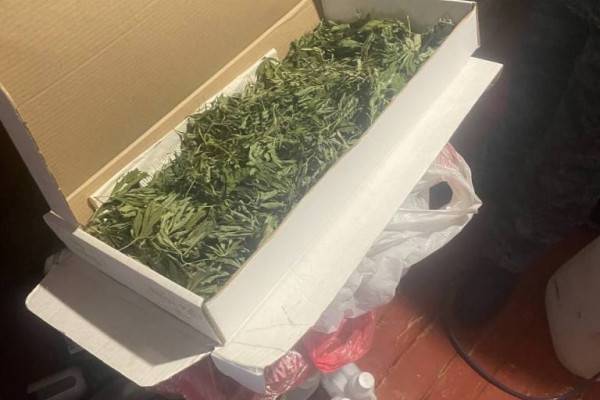 Полицейские конфисковали полкилограмма марихуаны в городе Гагарин Полицейские конфисковали полкилограмма марихуаны в городе Гагарин