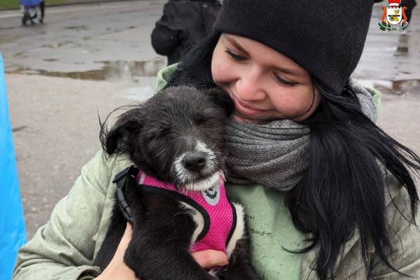 В Смоленске 13 животных стали домашними В Смоленске 13 животных стали домашними