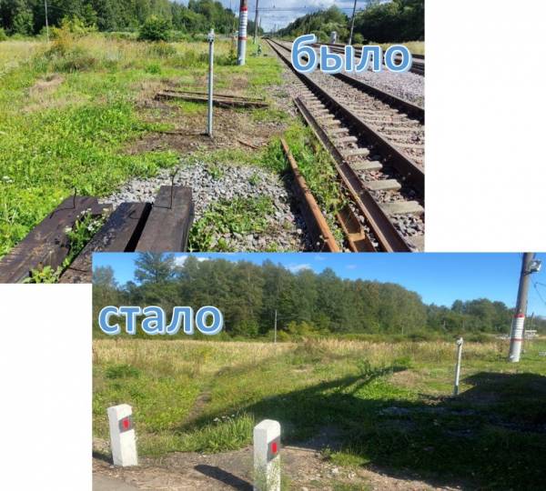 Проверка безопасности железной дороги в Сафоново: найдены нарушения и приняты меры