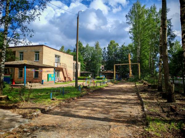 Старые деревья в детском саду