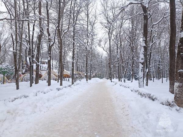 «И падал снег на ветки сонных сосен»...