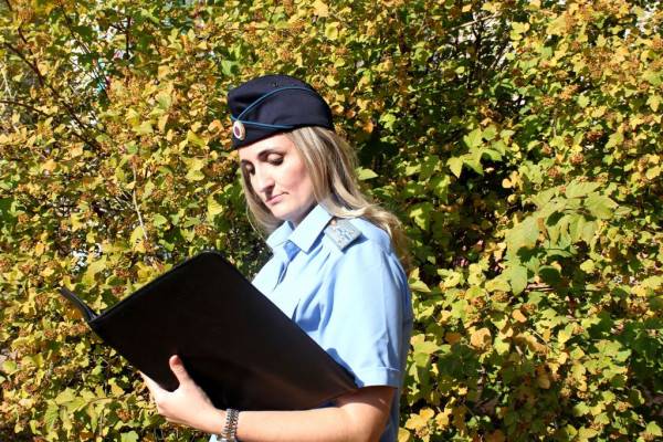 Возвращение потерянной собаки законной владелице через суд