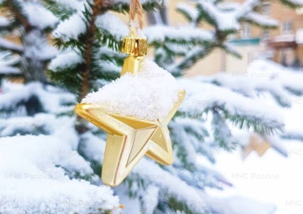 Проделки зимы