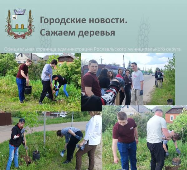 Посадка деревьев в Рославльском районе