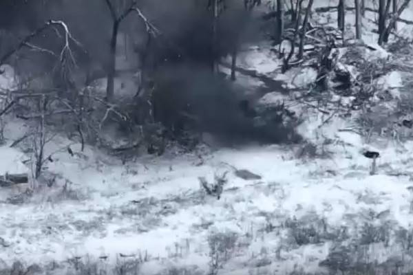 В Минобороны РФ сообщили о захвате российскими десантниками опорного пункта ВСУ под Артемовском