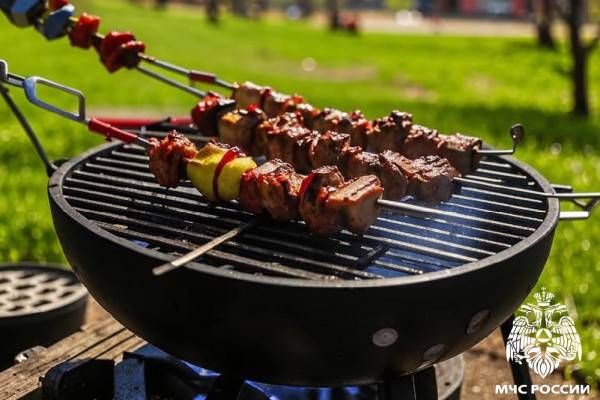 МЧС рекомендует: как безопасно готовить шашлыки МЧС рекомендует: как безопасно готовить шашлыки