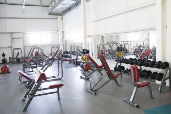 Государственная поддержка ветеранов СВО через развитие адаптивного спорта