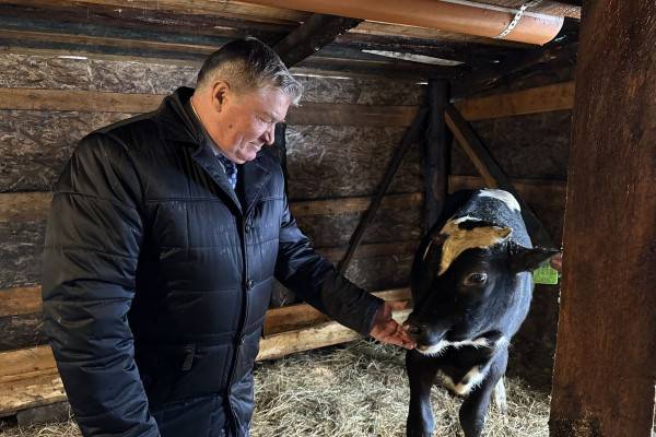 Социальный контракт меняет жизнь жителей Демидовского округа