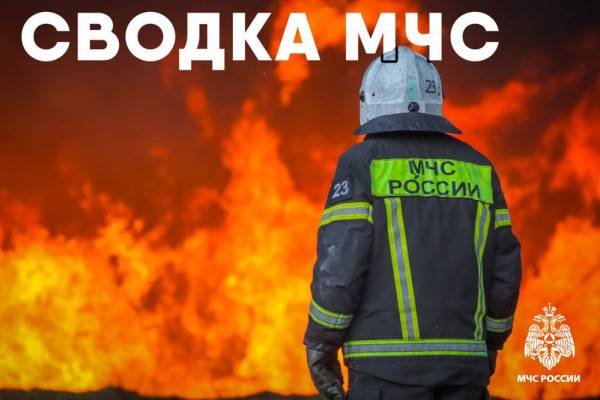 Пожары в Смоленской области: неосторожное обращение с огнем и нарушения правил безопасности