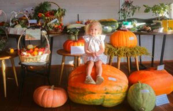 В Десногорске прошел II экологический фестиваль «ЭКОточка» В Десногорске прошел II экологический фестиваль «ЭКОточка»