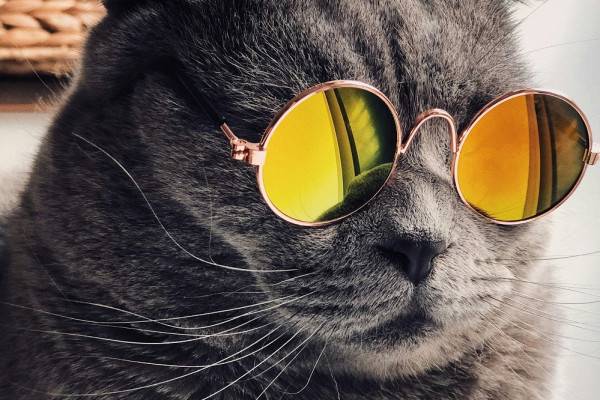 Переменная облачность и отсутствие осадков в Смоленске Переменная облачность и отсутствие осадков в Смоленске