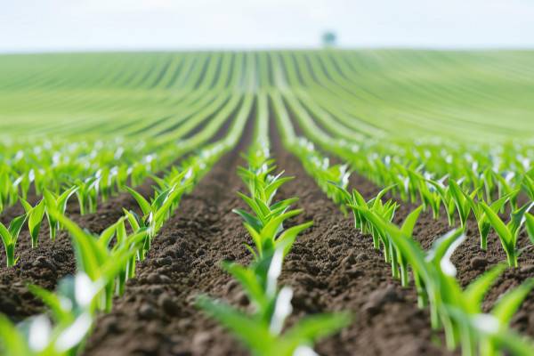 Успешный весенний засев в Смоленской области