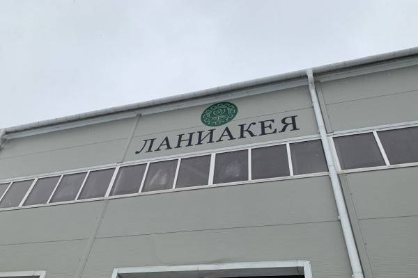 Мэр Смоленска ознакомился с работой предприятия «Ланиакея» Мэр Смоленска ознакомился с работой предприятия «Ланиакея»