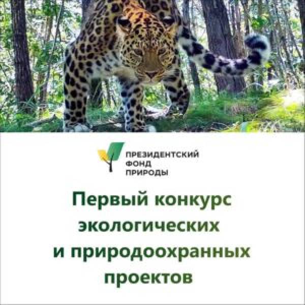 Старт конкурса Президентского фонда природы