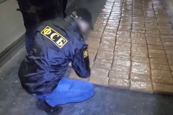 В Смоленской области ФСБ пресекла попытку контрабанды почти полтонны кокаина