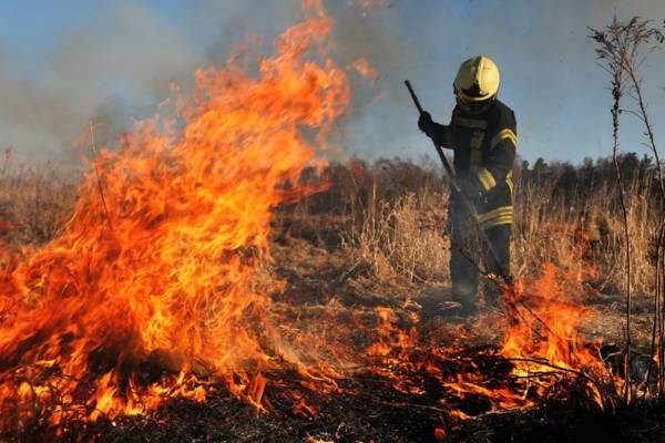 Огонь на полях: угроза от палов травы растёт