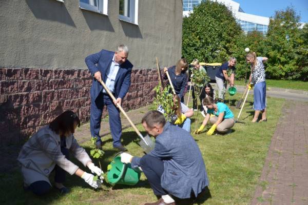 Смоленские налоговики высадили саженцы рябины и сирени в память о героях Великой Отечественной войны