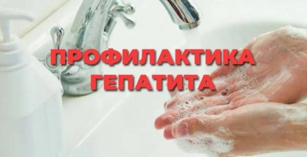 Профилактика вирусного гепатита А и Е Профилактика вирусного гепатита А и Е
